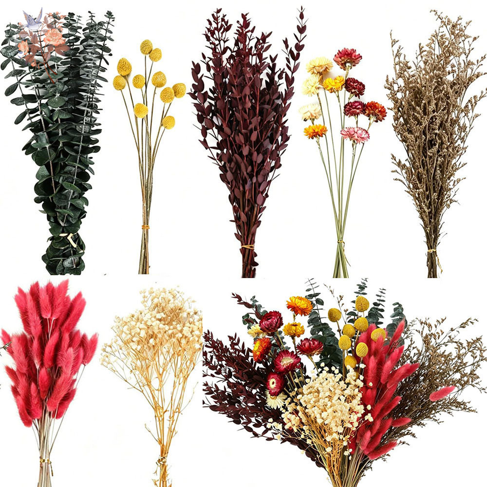 Dried Flowers Bulk Set 7 Kinds - огляд і ціна Anda Florist Supply