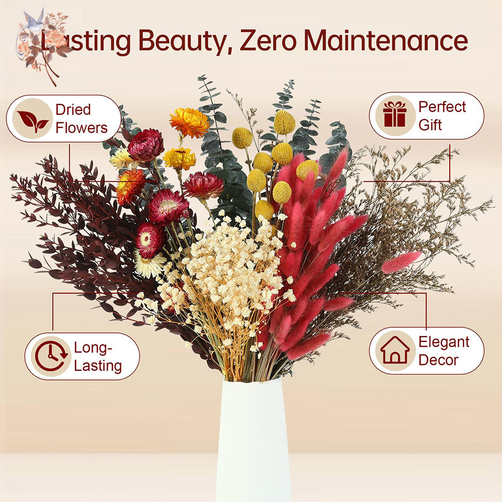 Dried Flowers Bulk Set 7 Kinds - огляд і ціна Anda Florist Supply
