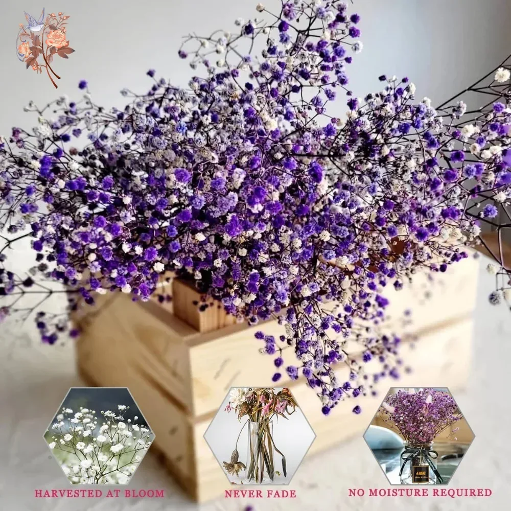 Real Touch Purple Gypsophile 8 - огляд і ціна Baby Breath Dried