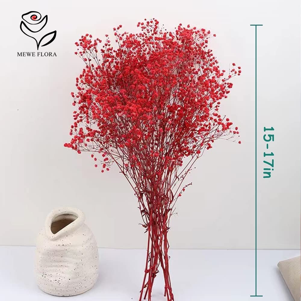 Dried Babys Breath Flower Bouq - огляд і ціна Baby Breath Dried