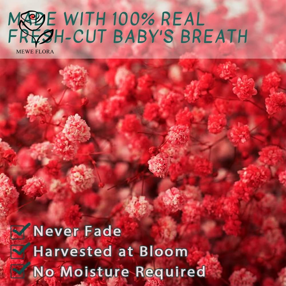 Dried Babys Breath Flower Bouq - огляд і ціна Baby Breath Dried