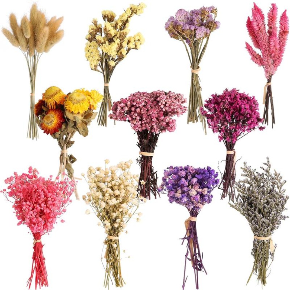 DIY Small Bouquet Mini Dried B - огляд і ціна Baby Breath Dried