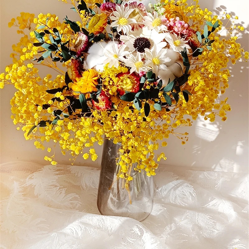 Natural Dried Flower Gypsophil - огляд і ціна Baby Breath Dried