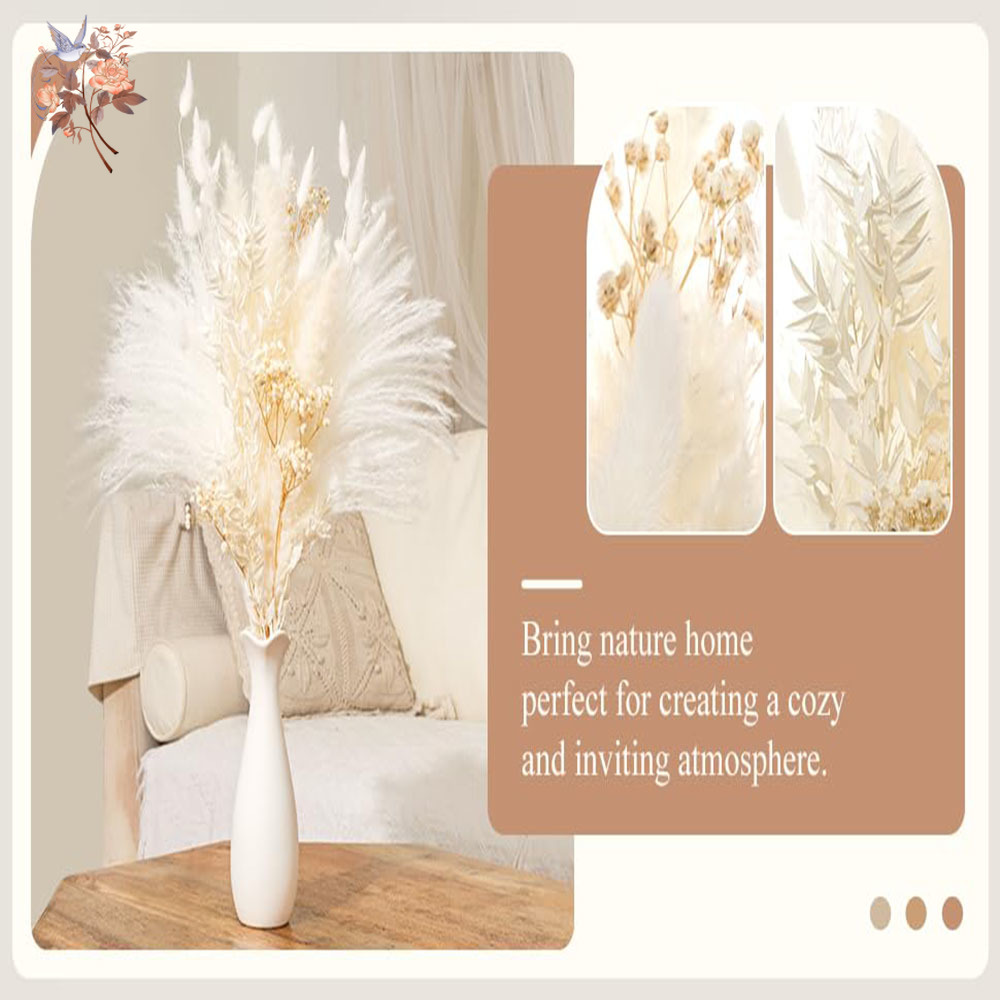 40pcs White Natural Dried Flow - огляд і ціна Baby Breath Dried