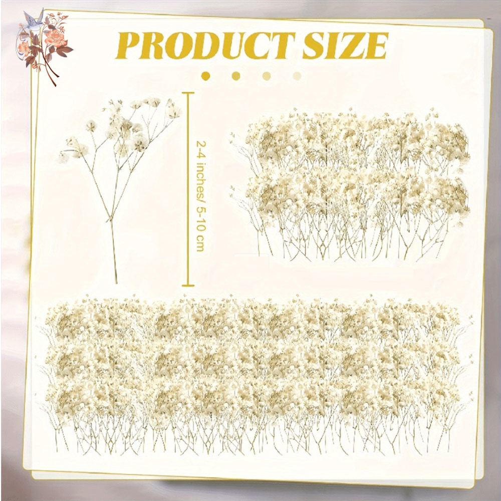 Mini Dried Gypsophila Flower D - огляд і ціна Baby Breath Dried