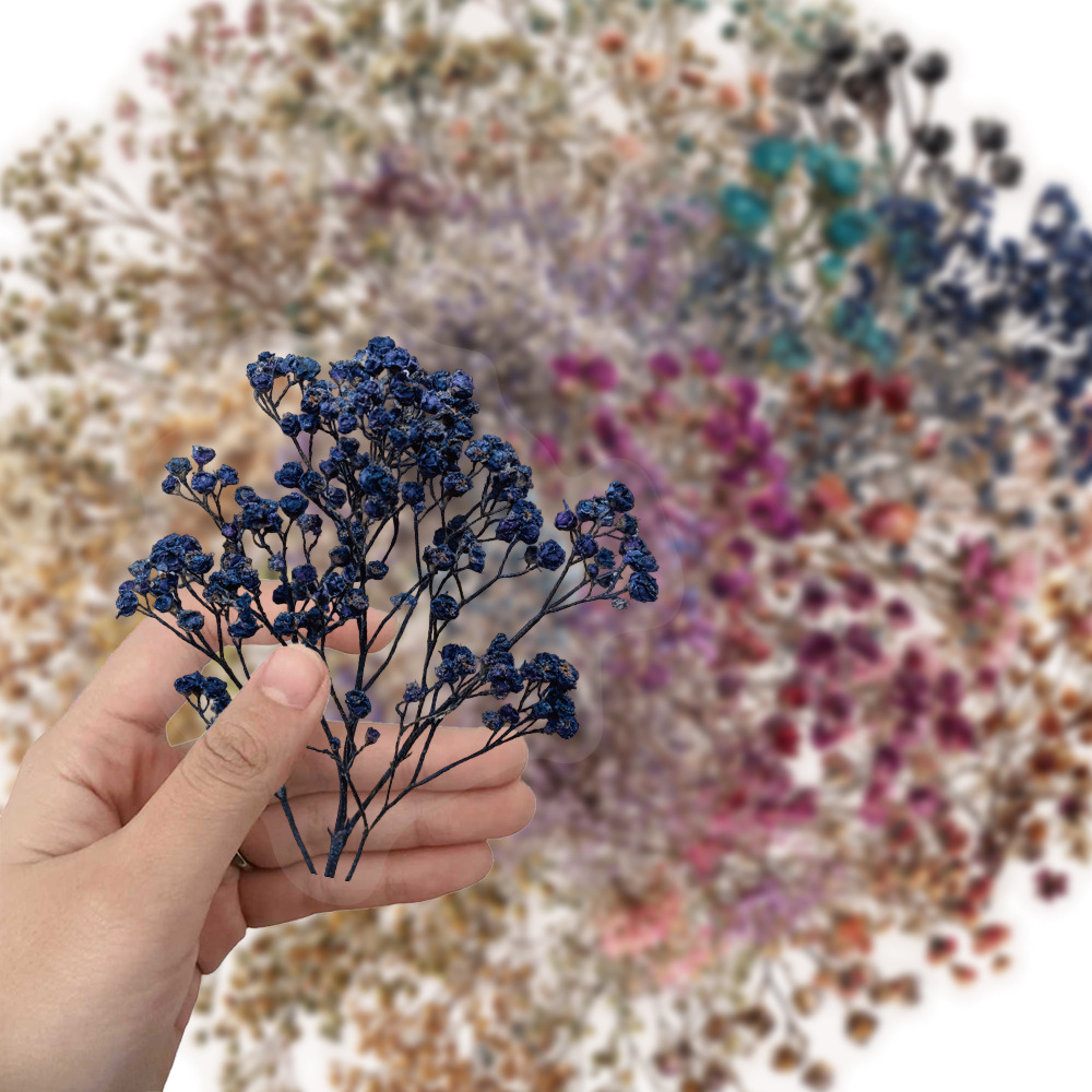 50 Pcs Vintage Dried Baby‘s Br - огляд і ціна Baby Breath Dried