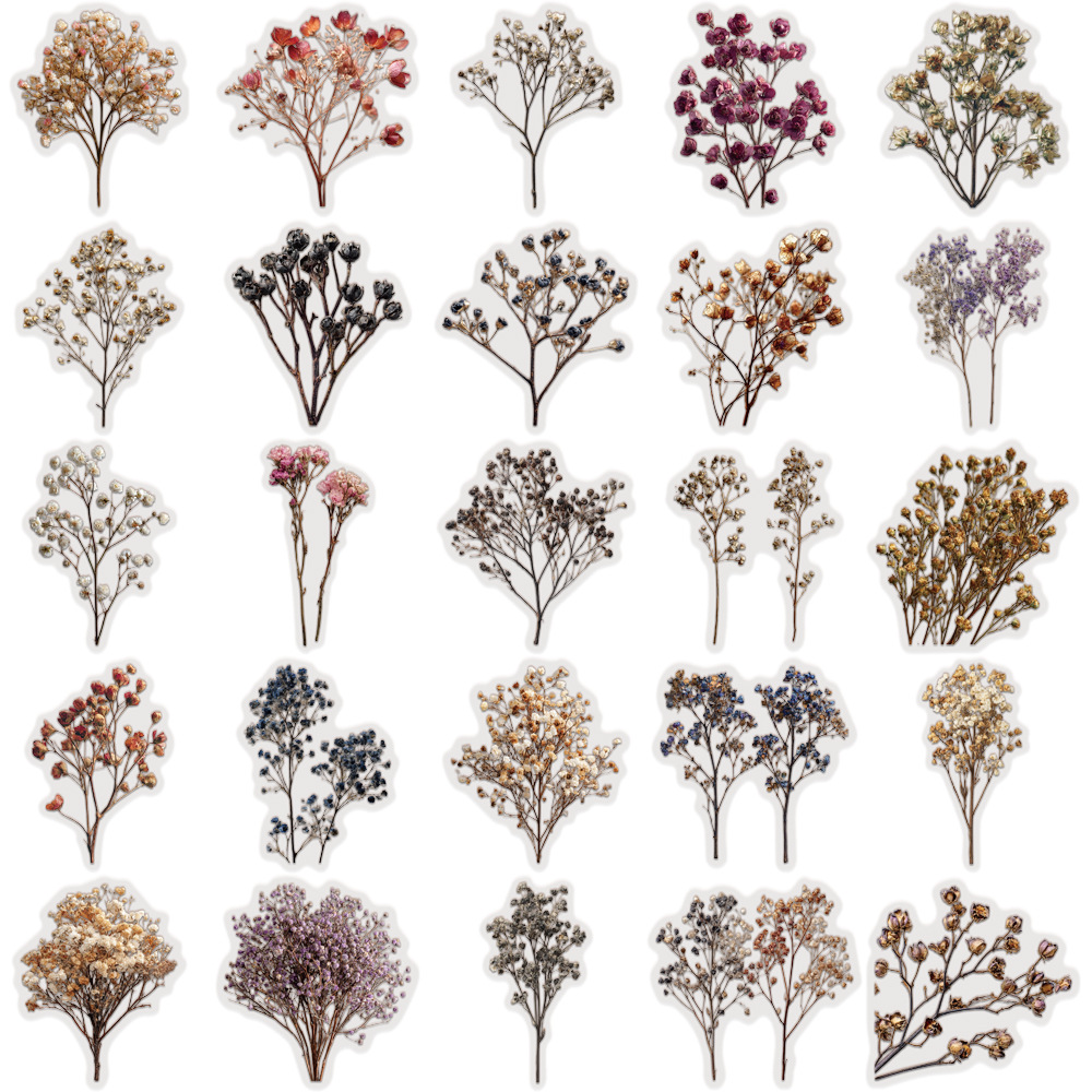 50 Pcs Vintage Dried Baby‘s Br - огляд і ціна Baby Breath Dried