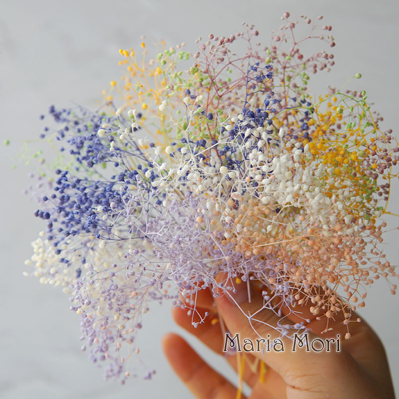 5g/Mini Baby Breath Dried Pres - огляд і ціна Baby Breath Dried