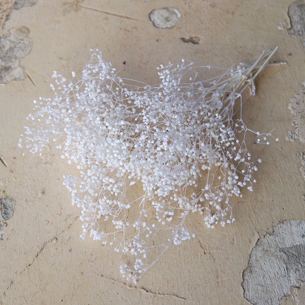 5g/Mini Baby Breath Dried Pres - огляд і ціна Baby Breath Dried