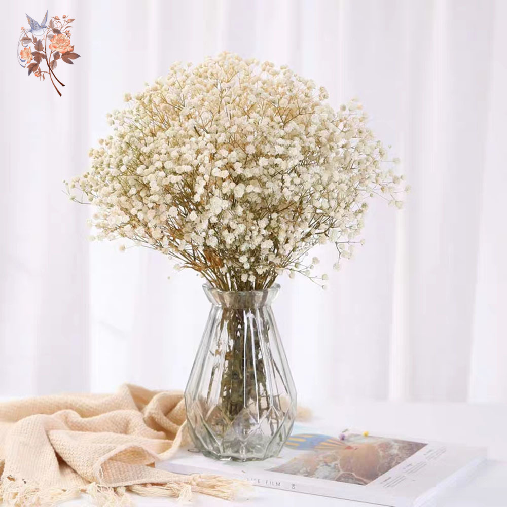 60g Dried Baby Breath Flower B - огляд і ціна Baby Breath Dried