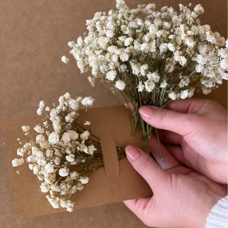 50pcs 100pcs Natural Dried Bab - огляд і ціна Baby Breath Dried