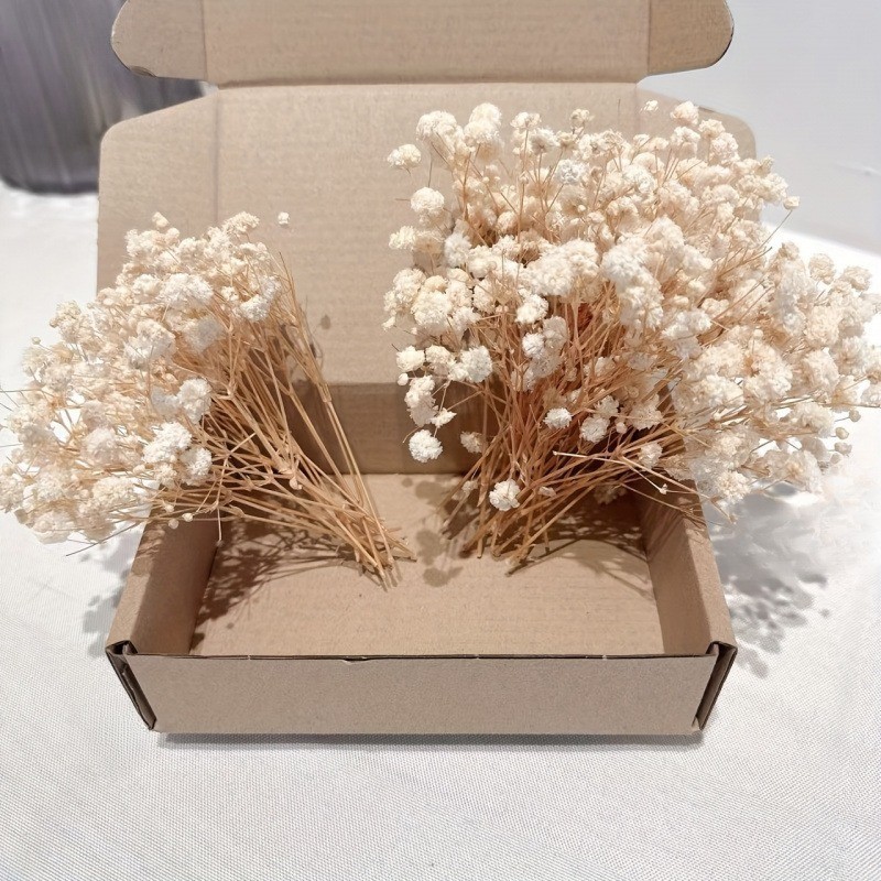 50pcs 100pcs Natural Dried Bab - огляд і ціна Baby Breath Dried