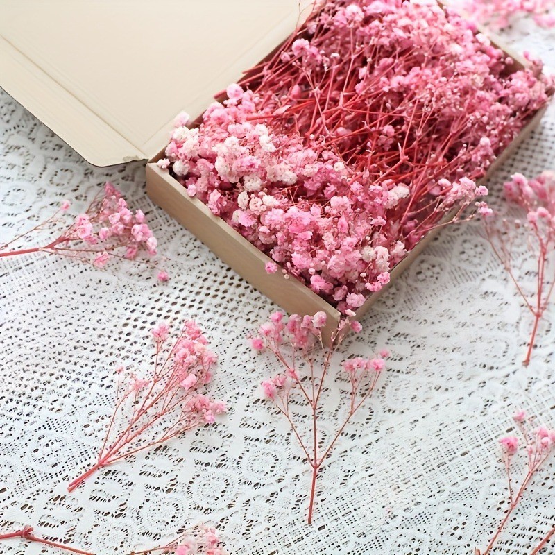 50pcs 100pcs Natural Dried Bab - огляд і ціна Baby Breath Dried