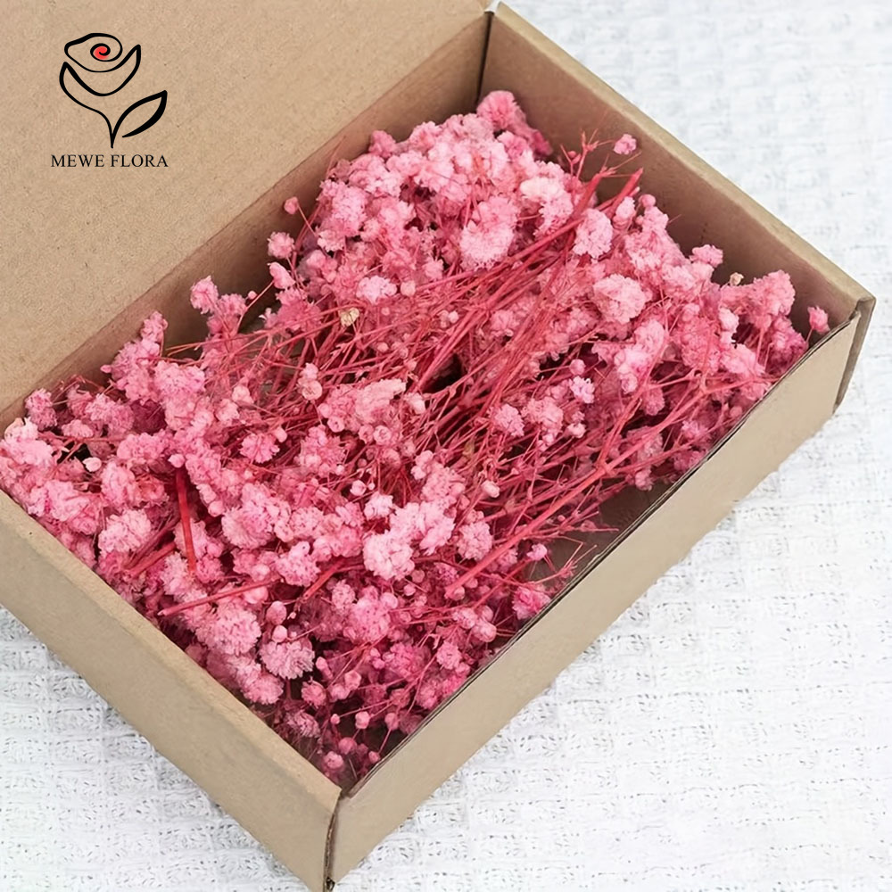 100 Small Branch Dried Baby's  - огляд і ціна Baby Breath Dried